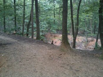 Excursión Bici de montaña Verrières-le-Buisson - verrière - Photo