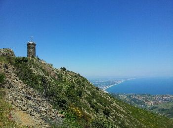 Trail Walking Collioure - tour de Madeloc - Photo