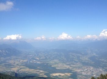 Tocht Stappen Sainte-Marie-du-Mont - Eurofidai  - Photo