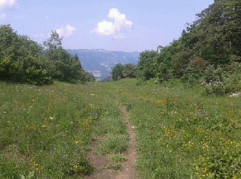 Trail Walking Lans-en-Vercors - Le Pic saint michel - Photo