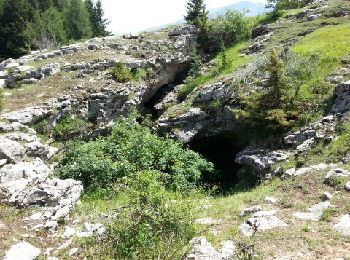 Excursión Senderismo Le Dévoluy - balade des trous de tunes - Photo