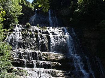 Excursión Senderismo Menétrux-en-Joux - les cascades du hérisson - Photo
