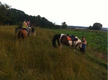 Tocht Paard Walcourt - balade a cheval des 3 rivieres - Photo