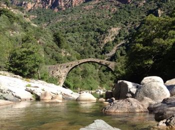 Excursión Senderismo Ota - gorges de la spelunca et pont, ota, corse - Photo