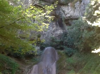Trail Walking Valzin-en-Petite-Montagne - Dramelay-Quinquenouille - Photo