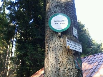 Randonnée Course à pied Dambach-la-Ville - autour du bernstein - Photo