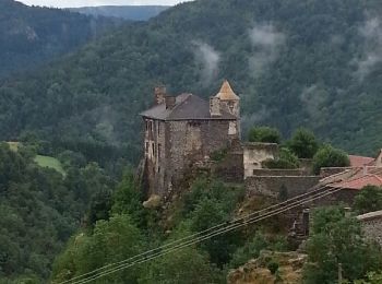 Randonnée Marche Le Puy-en-Velay - Compostelle : 1-Le Puy en Vely - St Didier d'Allier - Photo