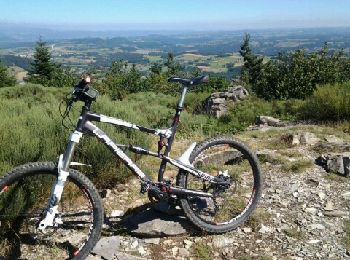 Tour Mountainbike Yssingeaux - sortie rapide - Photo