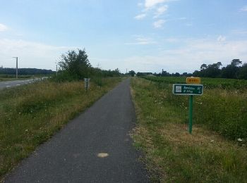 Percorso Bicicletta Damazan - damazan bordeaux - Photo