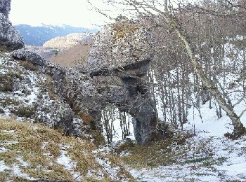 Excursión Marcha nórdica Léoncel - Echaillon - Photo