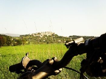 Trail Mountain bike Château-Arnoux-Saint-Auban - De Saint Auban à Montfort - Photo