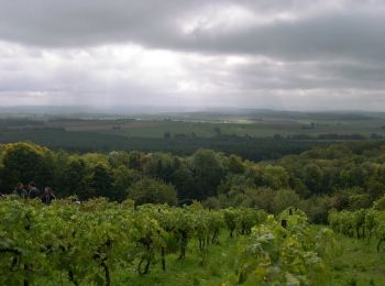 Tour Wandern Bouzemont - Circuit de la Madonne et Lamerey - Photo