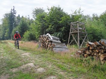 Trail Walking Renauvoid - Circuit de Girancourt - Photo