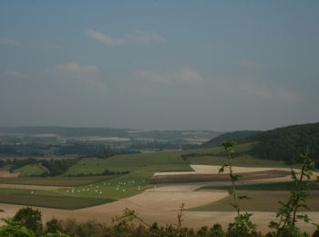 Tour Wandern Samer - Le Haut Pichot - Samer - Photo