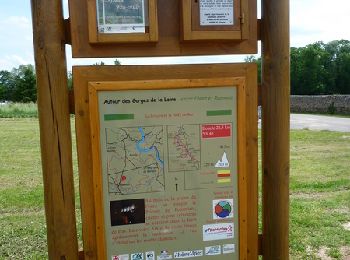Tour Mountainbike Pommiers-en-Forez - Autour des Gorges de la Loire - GR de Pays N° 3 : le prieuré et la forêt de Bas - Pommiers - Photo