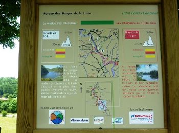 Tour Wandern Balbigny - Autour des Gorges de la Loire - GR de Pays N° 4 : Le Viaduc des Chessieux - Les Chessieux - Photo