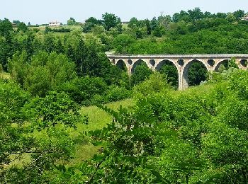 Percorso Mountainbike Balbigny - Autour des Gorges de la Loire - GR de Pays N° 4 : Le Viaduc des Chessieux - Les Chessieux - Photo
