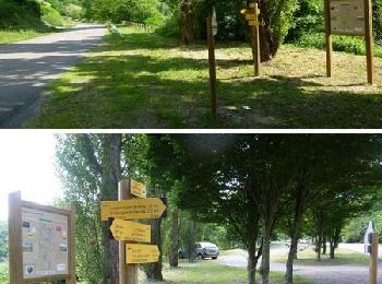 Trail Walking Pinay - Autour des Gorges de la Loire - GR Pays N° 5 : De la Digue à La Vourdiat - La Digue de Pinay - Photo