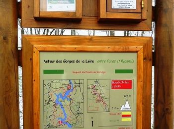 Excursión Bici de montaña Villerest - Autour des Gorges de la Loire - GR de Pays N° 7 : Du barrage de Villerest au pont de Presle - Villerest - Photo