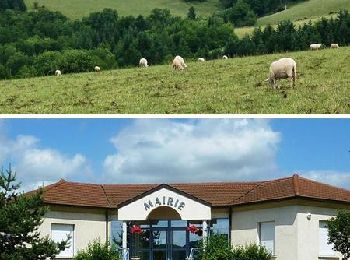 Trail Walking Neaux - La route Napoléon et la Vallée du Gand à VTT - Neaux - Photo