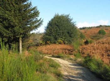 Trail Mountain bike Aiguefonde - Le Pic de Nore depuis St Alby - Photo