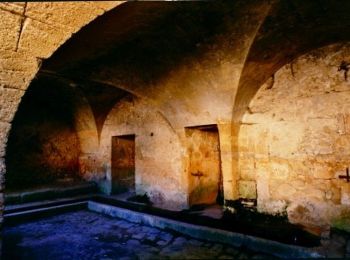 Tour Wandern Cabrières - De Cabrières au Pont du Gard  - Photo