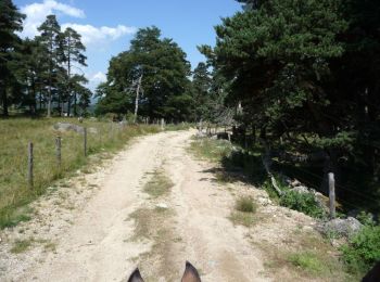 Trail Equestrian Rocles - Relais de Palhères - Florac - Photo