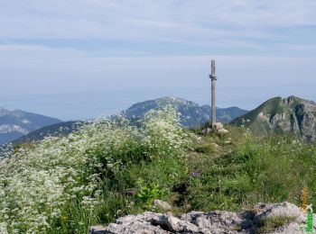 Trail Walking Abondance - Le Roc de Tavaneuse 2156 m, depuis Prétairié - Photo