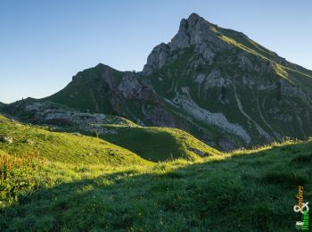 Trail Walking Mieussy - La Pointe de Chalune 2116 m, par le Col de Vésinaz - Photo