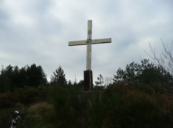 Trail Mountain bike Aiguefonde - Le lac de Laprade de St-Alby - Photo