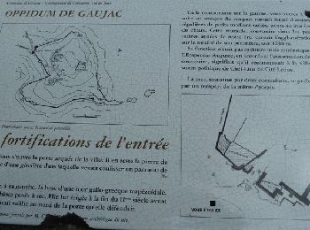 Randonnée Marche Gaujac - L''Oppidum de Gaujac - Photo