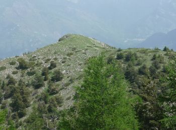 Tour Wandern Ilonse -  Du Col de la Sinne au Brec d''Ilonse - Photo