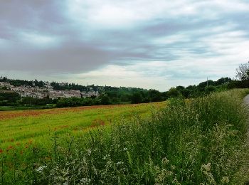 Randonnée V.T.T. Boën-sur-Lignon - Randonnée VTT du Pays d''Astrée (2013-VTT-55km) - Boën-sur-Lignon - Photo