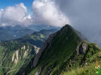 Excursión Senderismo Bellevaux - Une traversée du Roc d''Enfer 2243 m, depuis la Chèvrerie - Photo