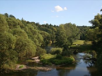 Trail Walking Rochefort - Walk along the river Lesse and through bucolic landscapes - Photo