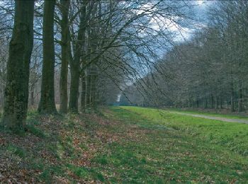 Trail Walking Mons - RB-Ha-13 - Raccourci - Sur les terres du prince de Ligne - Photo