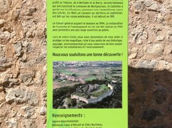 Tour Wandern Montpeyroux - château de castelas - Photo