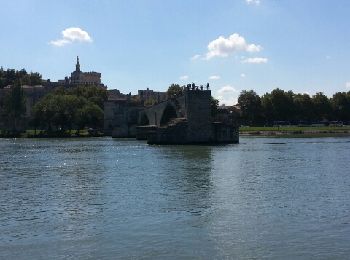 Tour Wandern Avignon - avignon ile de la BARTHELASSE - Photo