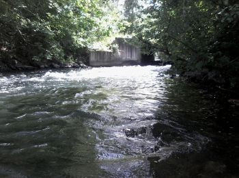 Tocht Kanoën - kajakken Rhinau - Canoé-brunnwasser en canoé - Photo