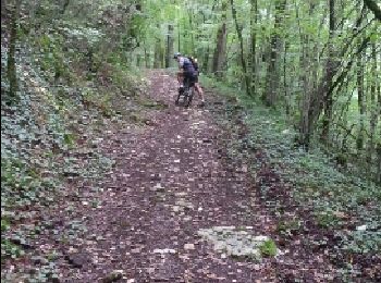 Tour Mountainbike Chauffour-sur-Vell - Le bois de l'empire - Photo