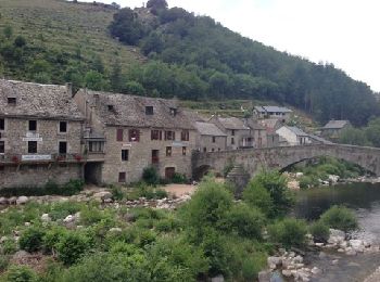 Tour Mountainbike Mont Lozère et Goulet - Station du Mont Lozere - Hospitalet - Photo