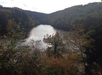 Tour Andere Aktivitäten Hohenfels - Nisramont - Photo