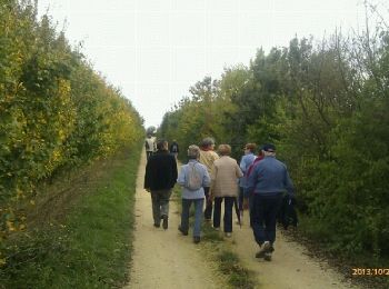 Trail Walking Coulon - Saint Liguaire. Les vignes - Photo