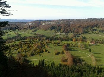 Randonnée Course à pied Septmoncel les Molunes - La tendue, la grotte de Célary, Lamoura  - Photo