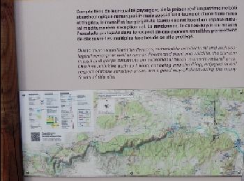 Trail Walking Saint-Bonnet-du-Gard - Pont du Gard - Photo