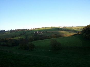 Trail Walking Saint-Héand - izzy4 - Photo