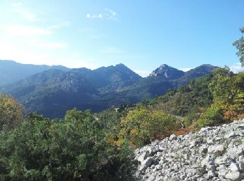 Tour Wandern Castellar - Mont Carpano en boucle - Photo