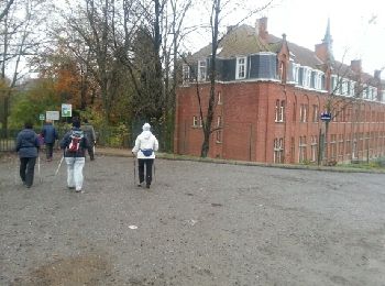 Tocht Noords wandelen Sint-Genesius-Rode - 2013 - 11 - 29 dreve des cochons - Photo