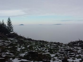 Tocht Stappen Saint-Bonnet-le-Troncy - rançon 2 - Photo