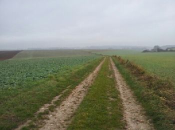 Trail Walking Ailly - Ailly-AtraversPlateauMadrie_14Km - Photo